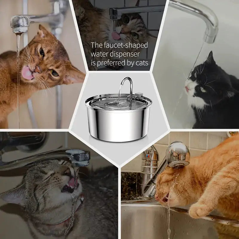 Hydrating Cat Water Fountain