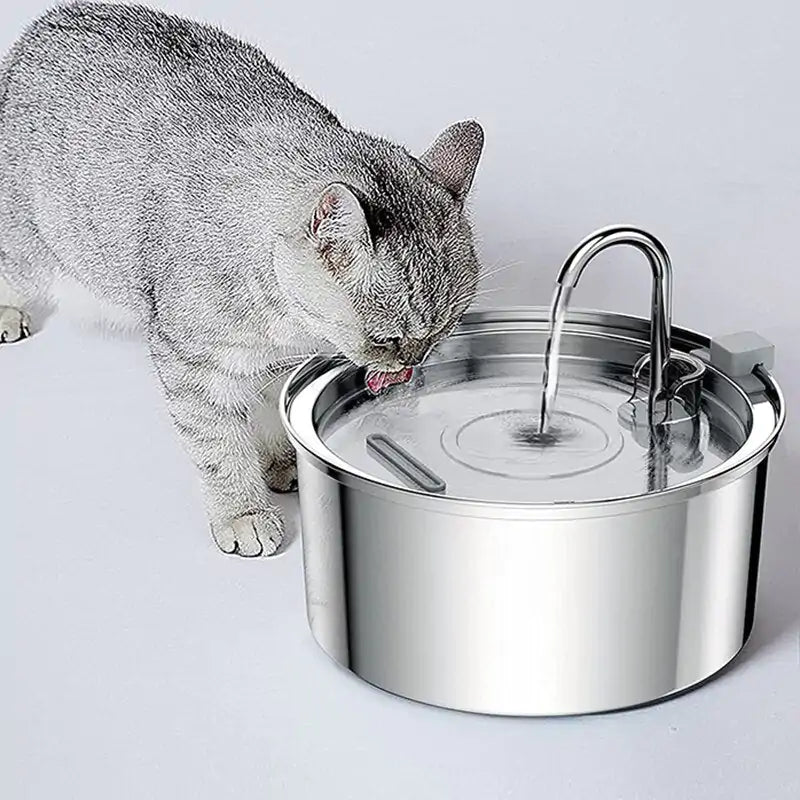 Hydrating Cat Water Fountain