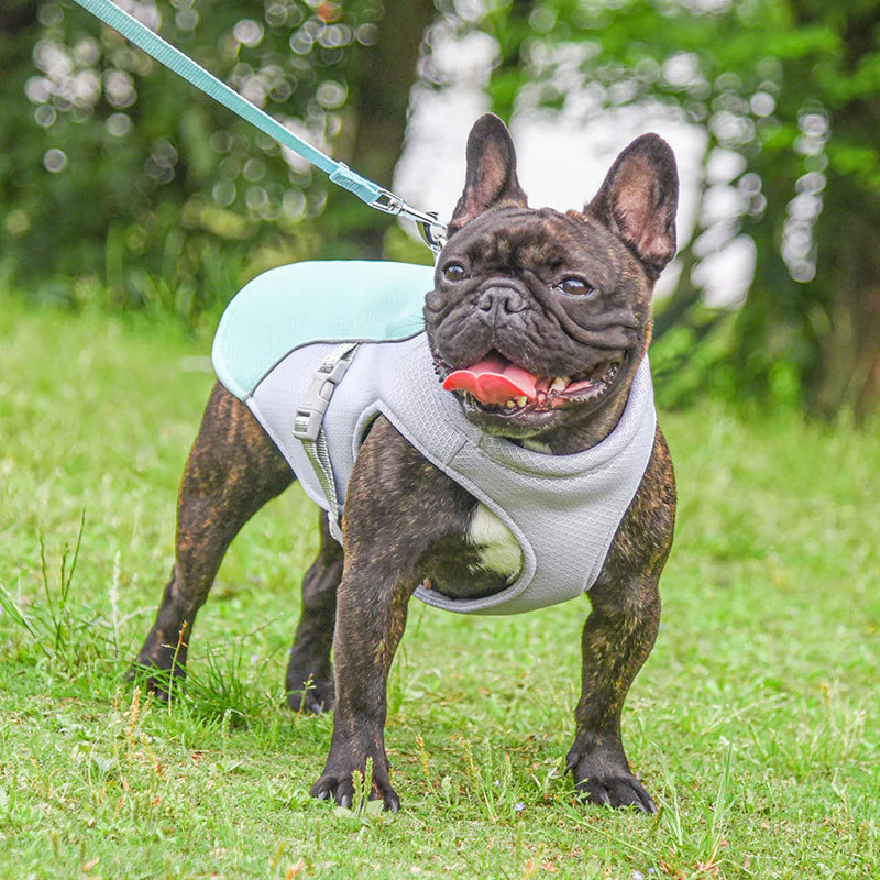 Cooling Vest for Dogs