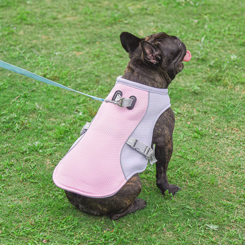 Cooling Vest for Dogs