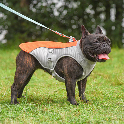 Cooling Vest for Dogs